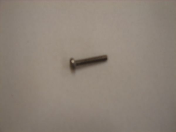 W11404293 Whirlpool Cabrio Washer Lid Hinge Screw